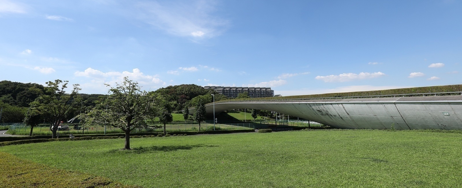 写真：くじら橋