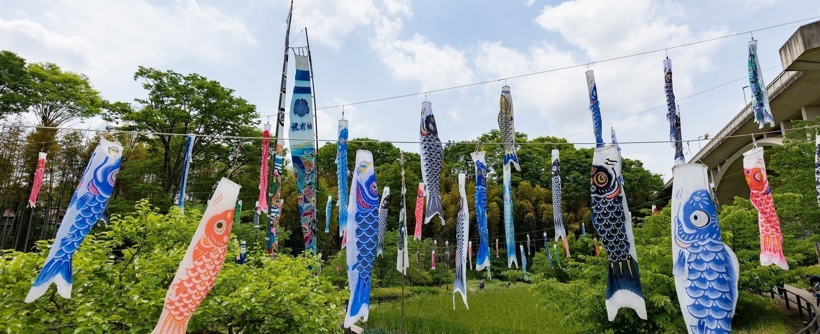 写真：上谷戸大橋のこいのぼり