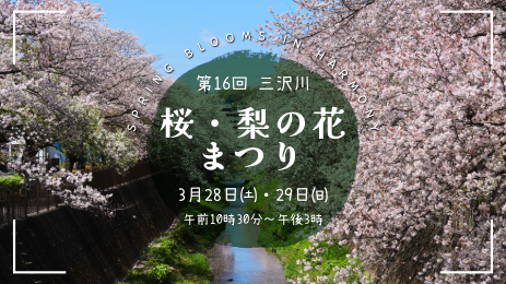 ALT:三沢川さくら回廊の写真