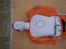 写真：圧迫位置