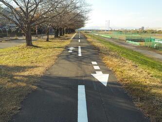 写真：中央線と矢印