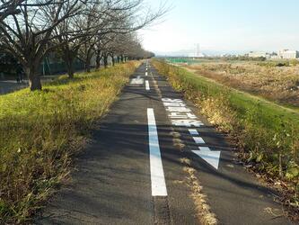 写真：歩行者優先1