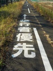 写真：歩行者優先2
