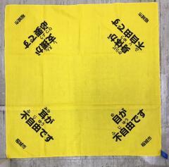 写真：災害時支援用バンダナ