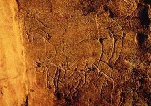 写真：窯跡内に描かれた馬の線刻画