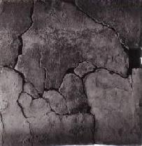 写真：解文を刻んだ方形磚