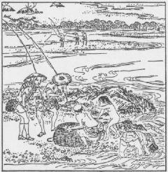 写真：江戸名所図会の鮎漁の様子