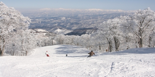 写真：野沢温泉村の雪山