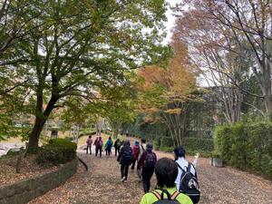 写真：シルバーハイキング2