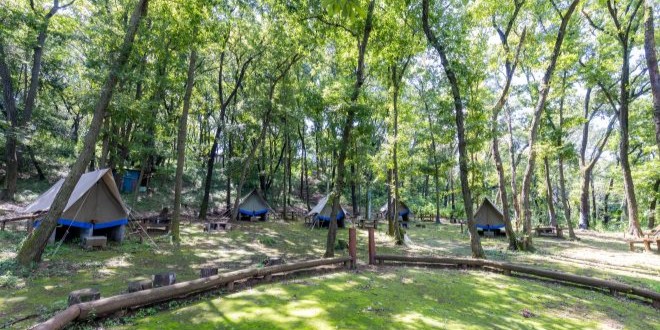 学校・地区開放（稲城ふれあいの森）