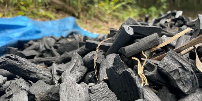 稲城ふれあいの森　炭焼き体験