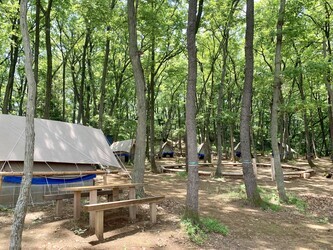 写真：稲城ふれあいの森