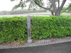 写真：コースサイン