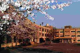 写真：稲城第一小学校外観