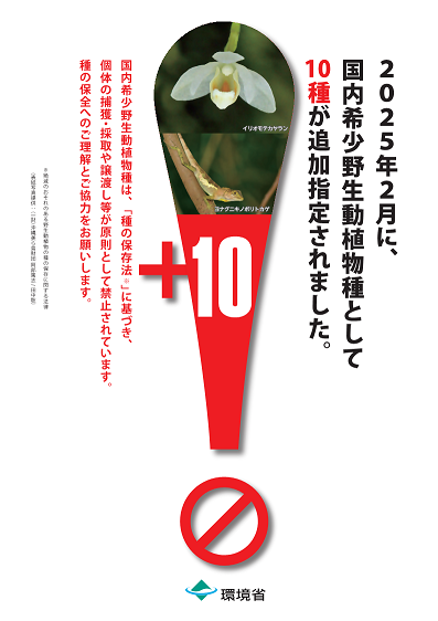 写真：国内希少野生動植物に関するパンフレットの表紙