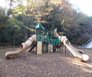 写真：稲城中央公園の多目的広場