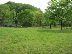 写真：大丸公園1