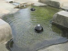 写真：大丸公園4