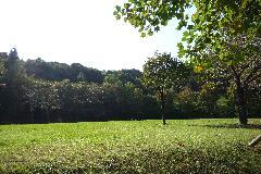 写真：芝生広場