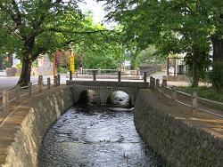 写真：大丸親水公園5