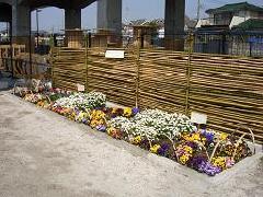 写真：活動場所