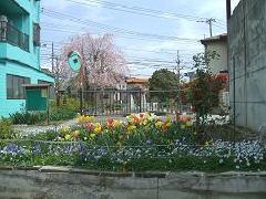 写真：活動場所1