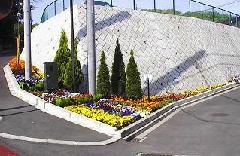 写真：市道第436号線の植え込み地の様子