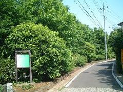 写真：活動場所周辺