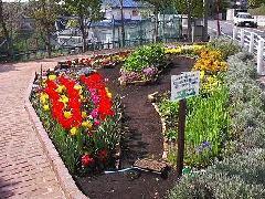 写真：松の台広場