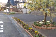 写真：時計台通り