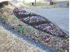 写真：段々広場