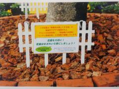 写真：活動看板