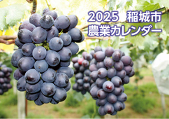 写真：農業カレンダー表紙