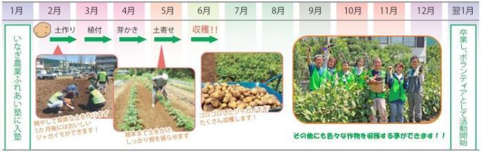 写真：年間の受講スケジュール