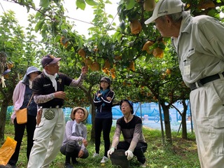 袋破り作業の指導