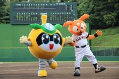 写真：稲城なしのすけ×ジャビット