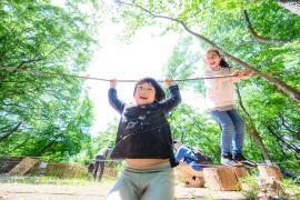 写真：佳作「森に輝く」