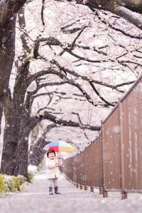 写真：最優秀賞「雪降る春の日」