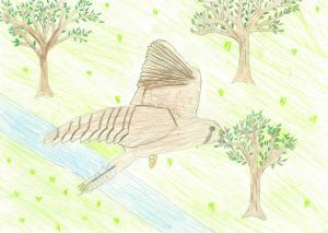 写真：応募絵画25