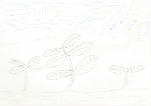 写真：応募絵画26