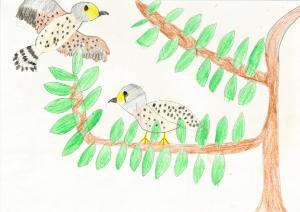 写真：応募絵画33