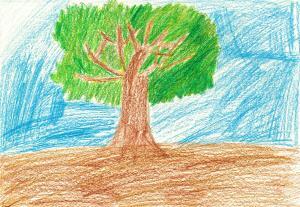 写真：応募絵画15