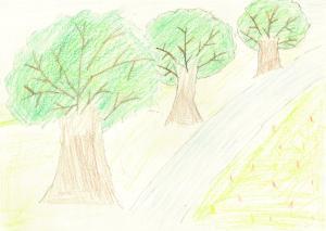 写真：応募絵画32