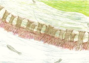 写真：応募絵画16