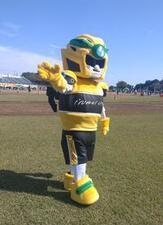 写真：総合グラウンドでの様子