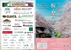 写真：三沢川 桜・梨の花まつりパンフレット