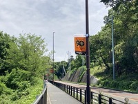 写真：よみうりV通り