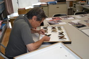 写真　稲城市野外博物館