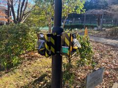 写真：大丸公園テニスコート