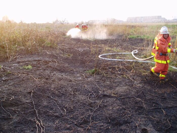 枯れ草等に延焼